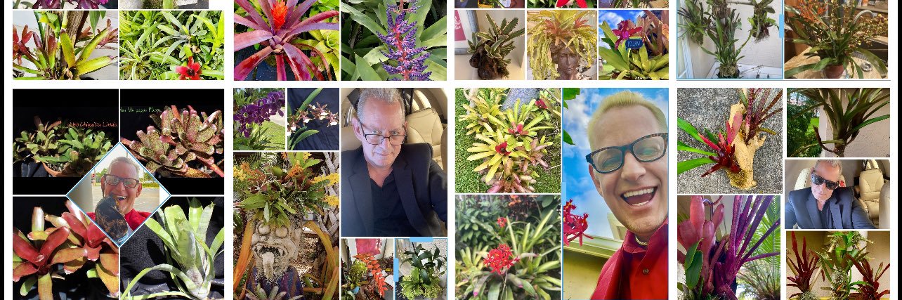 coolplant's profile banner image