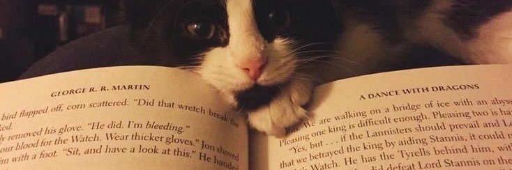 Vee. ࣪𖤐‧ banner