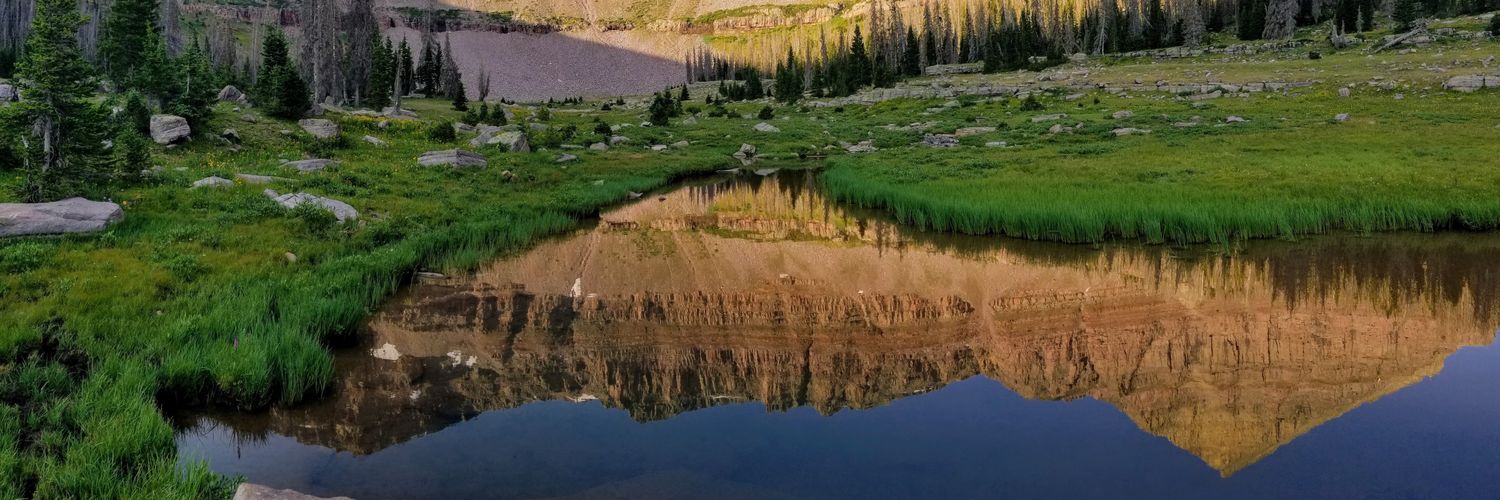 WasatchWill's profile banner image
