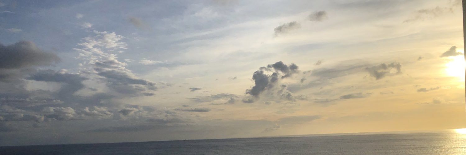 picohan03's profile banner image
