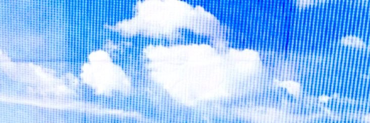 나비's banner