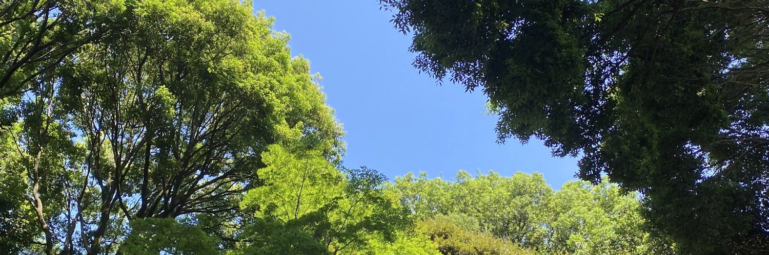ショーンβ banner