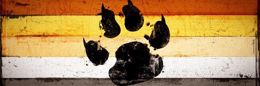LeCubGinger's profile banner image