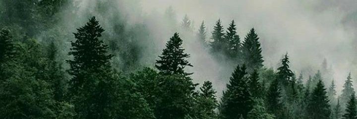 lolant666's profile banner image