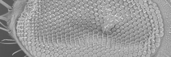 LaTrobeBIP Profile Banner