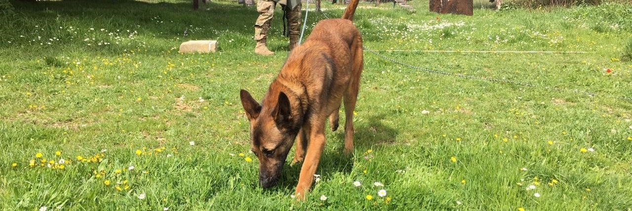 Marshall Legacy Institute banner