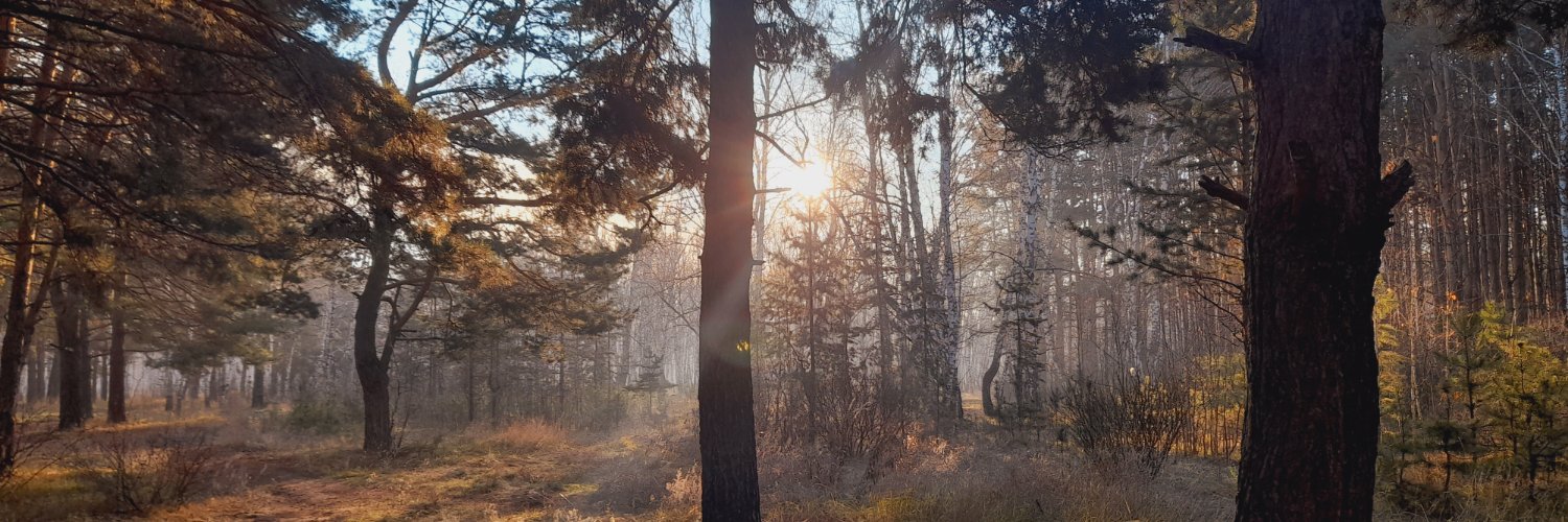 🥺ууууууу's banner