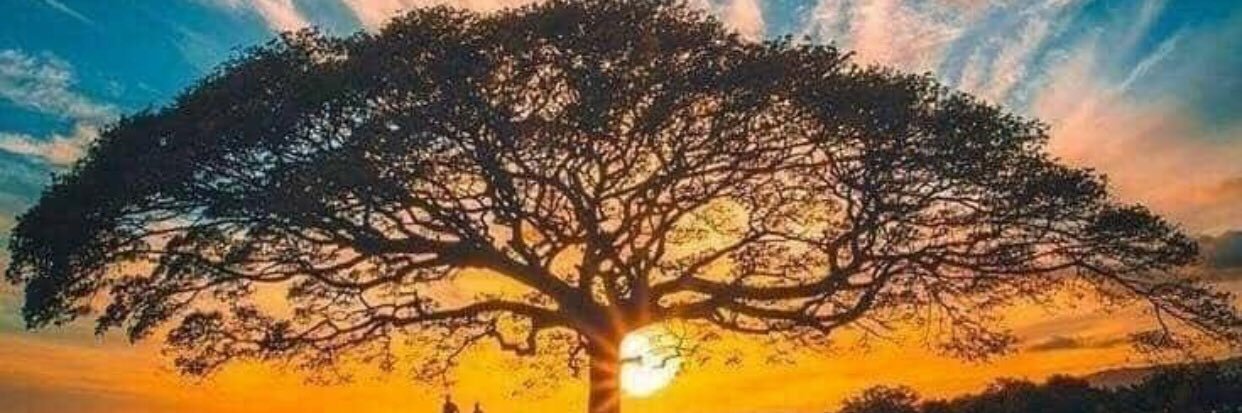 HaLieu18's profile banner image
