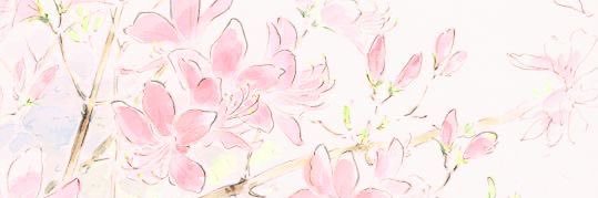 aliya🪷 banner