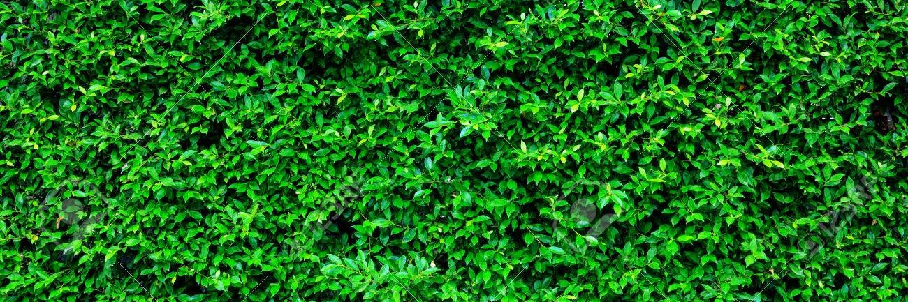 AHanjawar's profile banner image