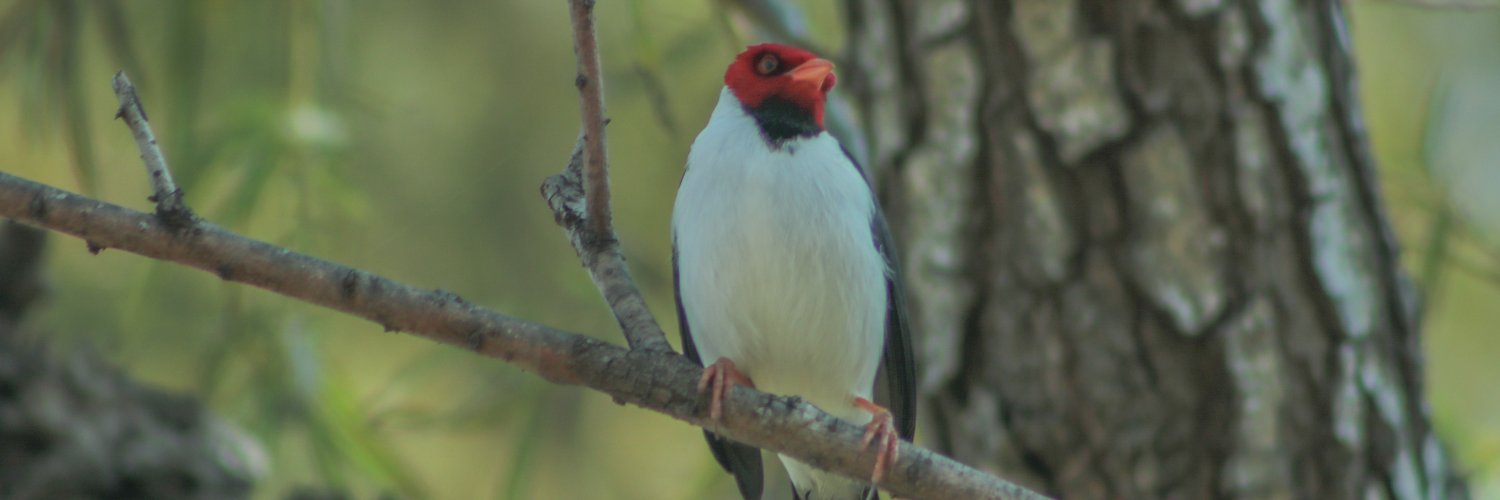 PNPreDelta's profile banner image