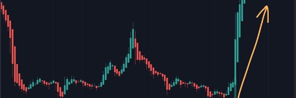 CryptoBetsNews banner