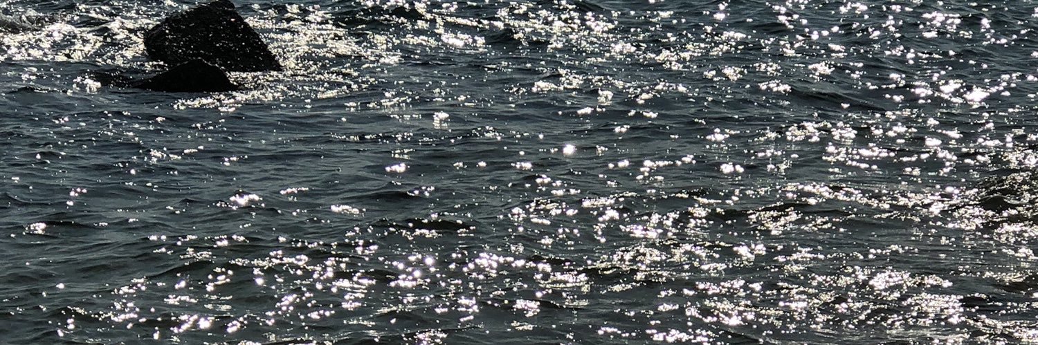 จิ้งจอกขาวเป่ยจิง banner