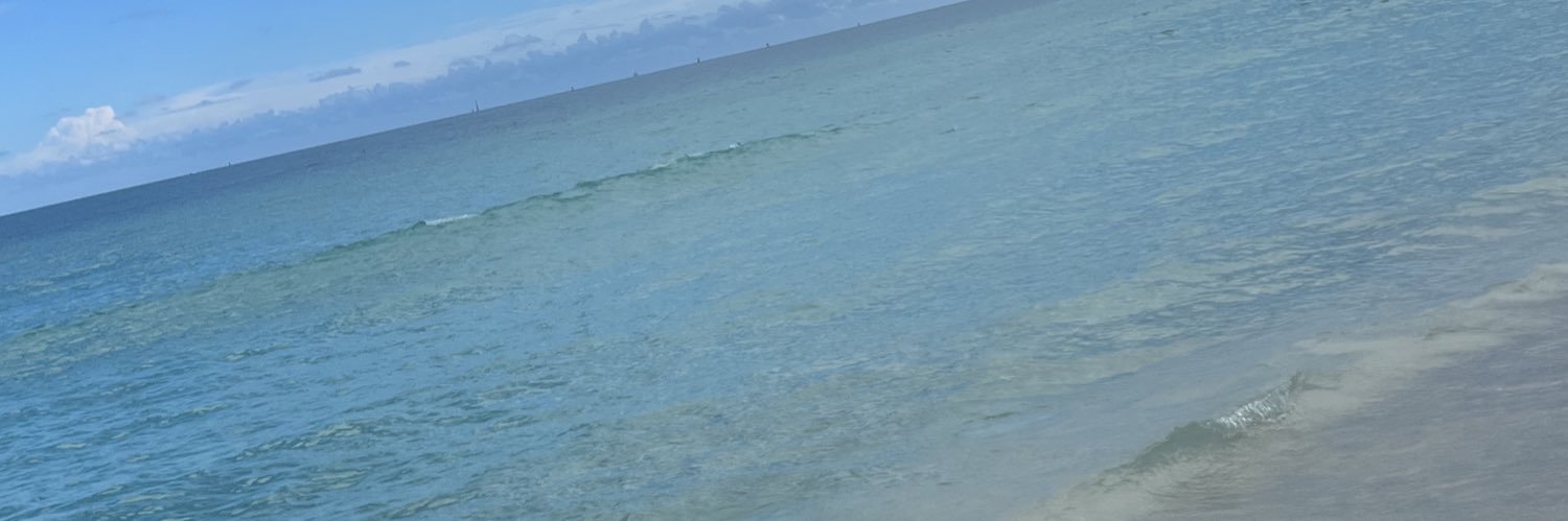 danikamirandaa's profile banner image