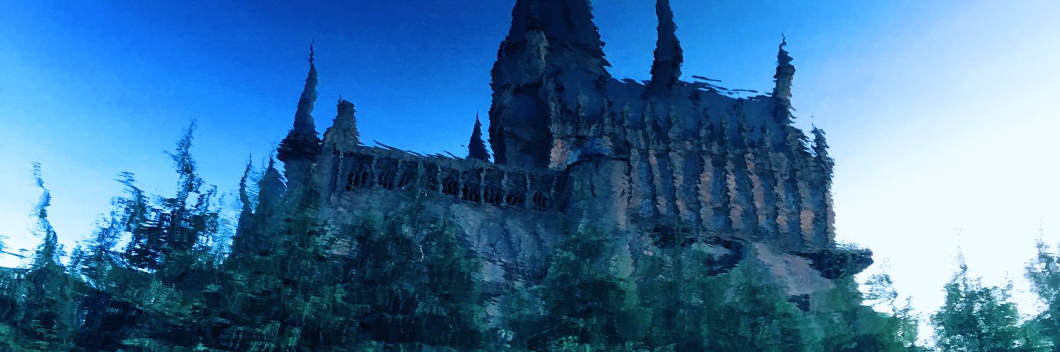 rtskywlkr22's profile banner image
