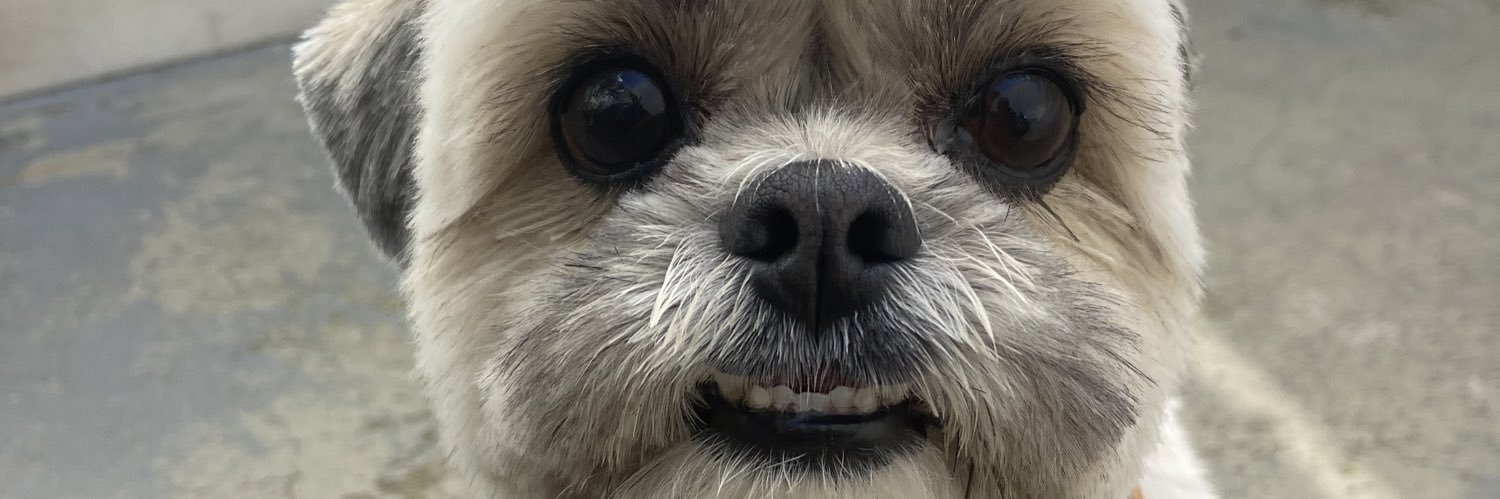 maripettersem's profile banner image
