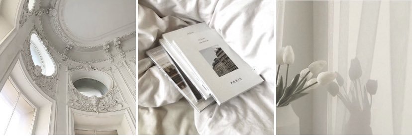 ava (in the garden) 🧚🏻‍♀️ banner