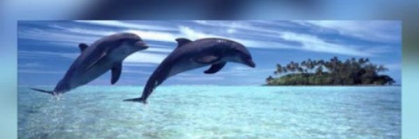BintHas89137277 Profile Banner