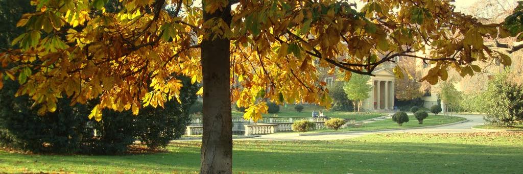 GeosNewsMI's profile banner image
