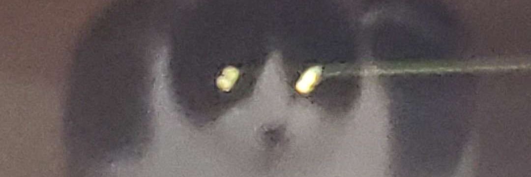urHeartnSol's profile banner image