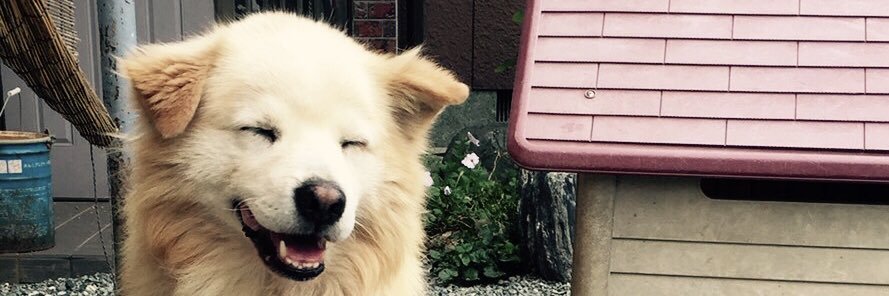 Yuji_dirty's profile banner image