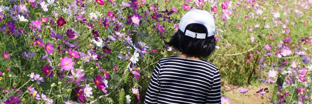 umeimouto's profile banner image