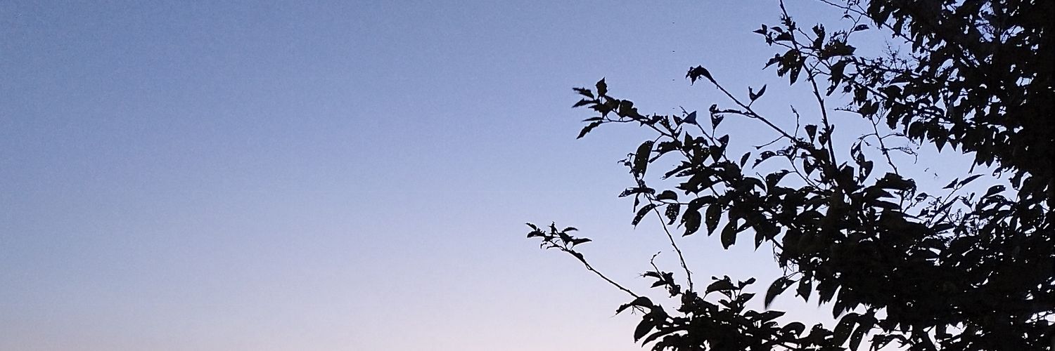 ykm_sk3's profile banner image