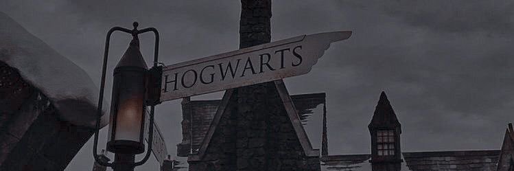 catoulicious's profile banner image