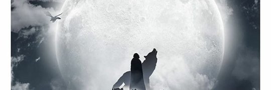 markvega01's profile banner image
