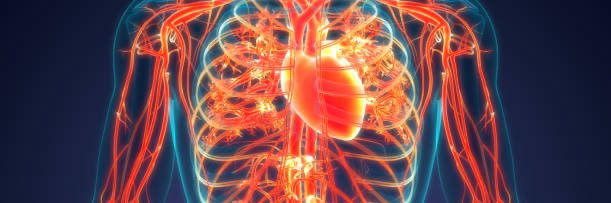 ev (live forever) banner