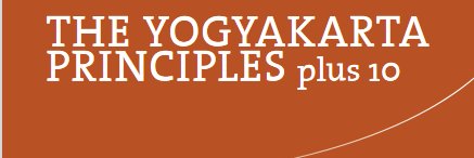 Yogyakarta Principles 101 banner
