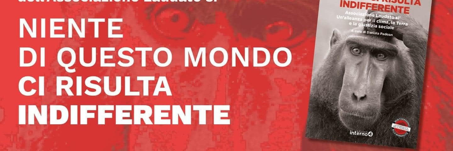 agostinelli_mar's profile banner image