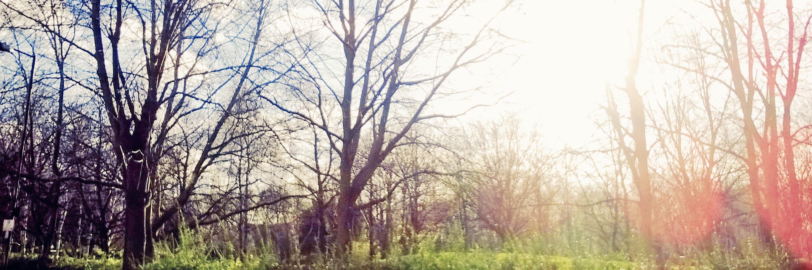 Joseph_K__'s profile banner image