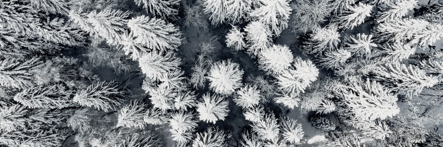 decathlon_quechua banner