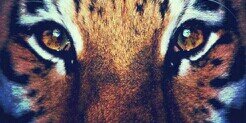 clara_grr's profile banner image