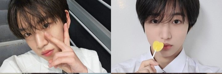 🐰 Bell~ 💛 🦦 🦞 | 💎🌻 banner