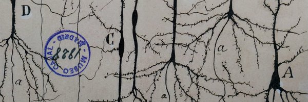 NeuroPouget Profile Banner