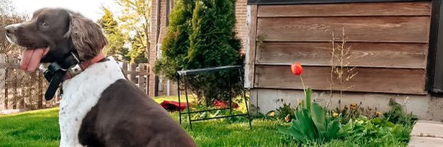 jprice720's profile banner image