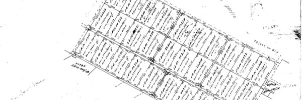 surveykevin Profile Banner