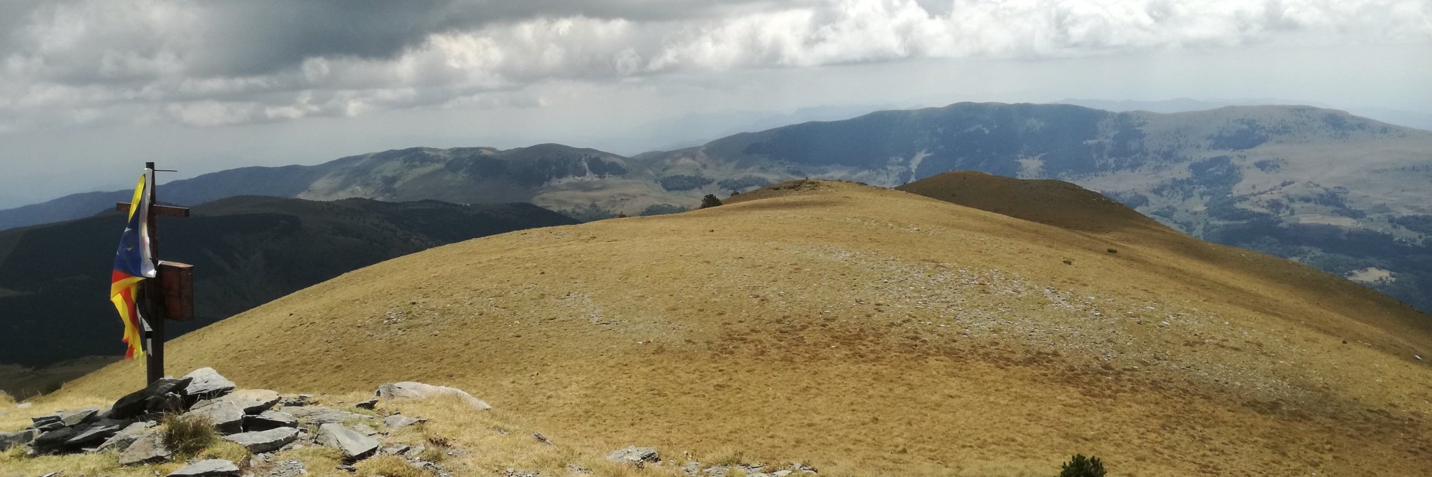 Jaume Busquets banner
