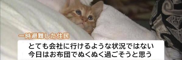 勇者ぴんめる banner