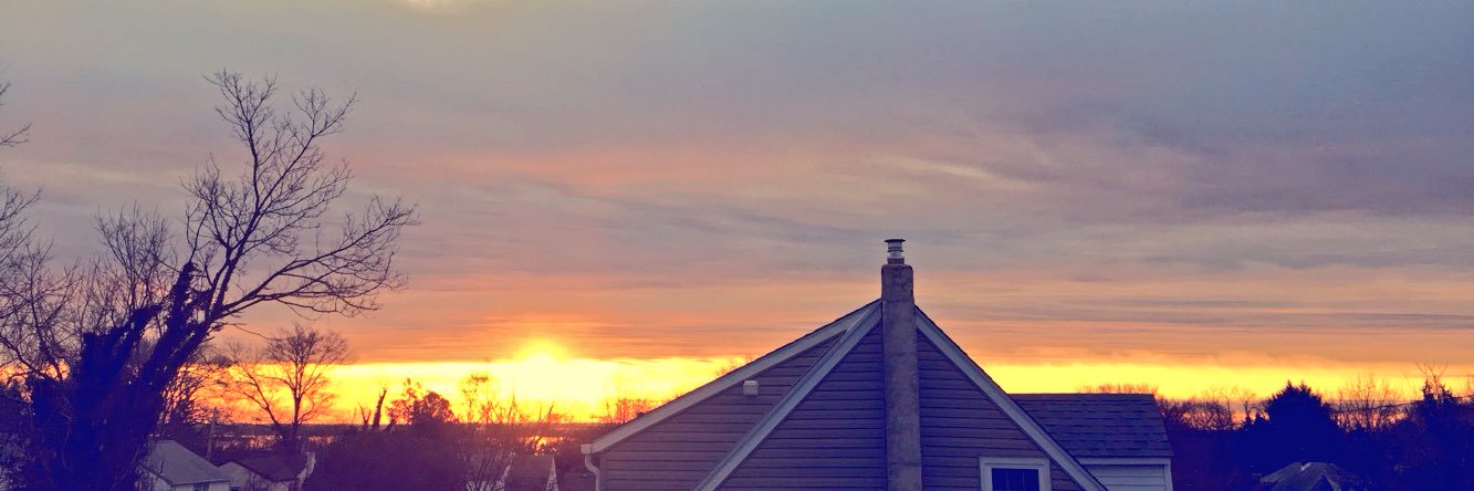 shayree_potter's profile banner image