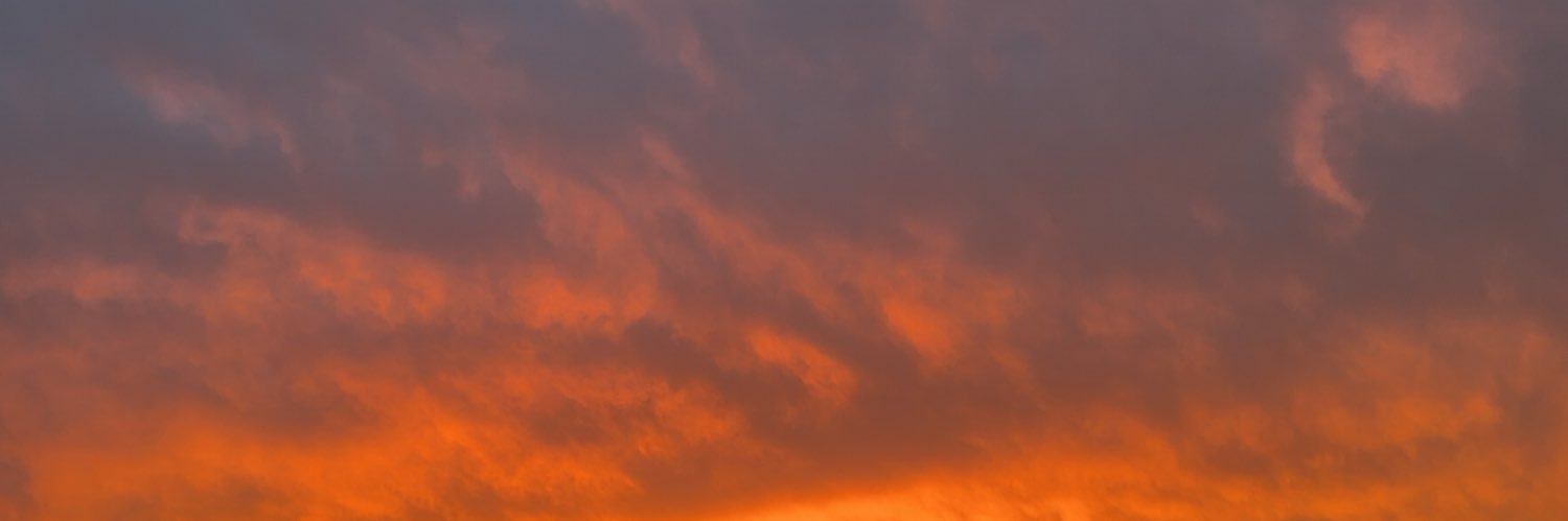 الصلت banner