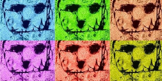 sabinalightness's profile banner image