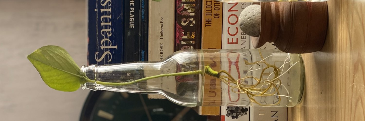 Dikshya Singh banner