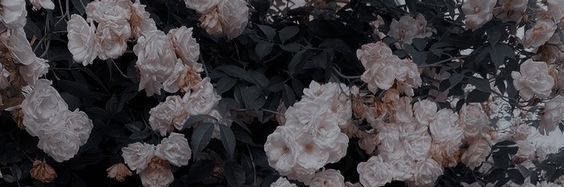 sedra_7777's profile banner image