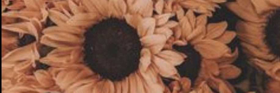 Uestayaiide's profile banner image