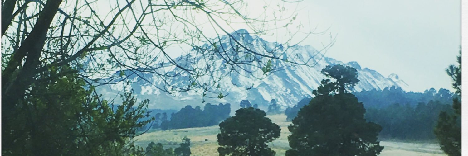 lucyespinosan's profile banner image