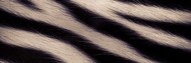 thoughtsinlace's profile banner image