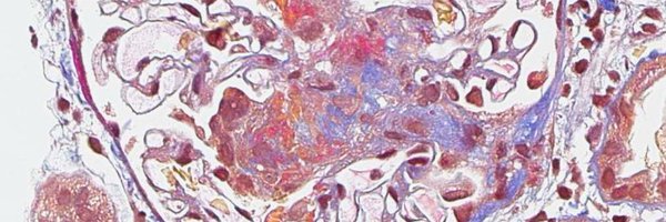 KBCpathologists Profile Banner